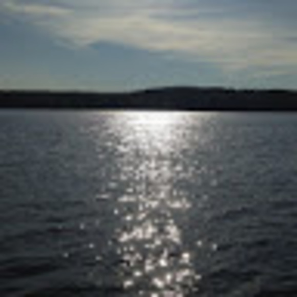 Meet your Posher, Dana - Picture 1 of 1